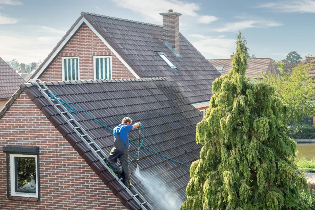 Roof Cleaning