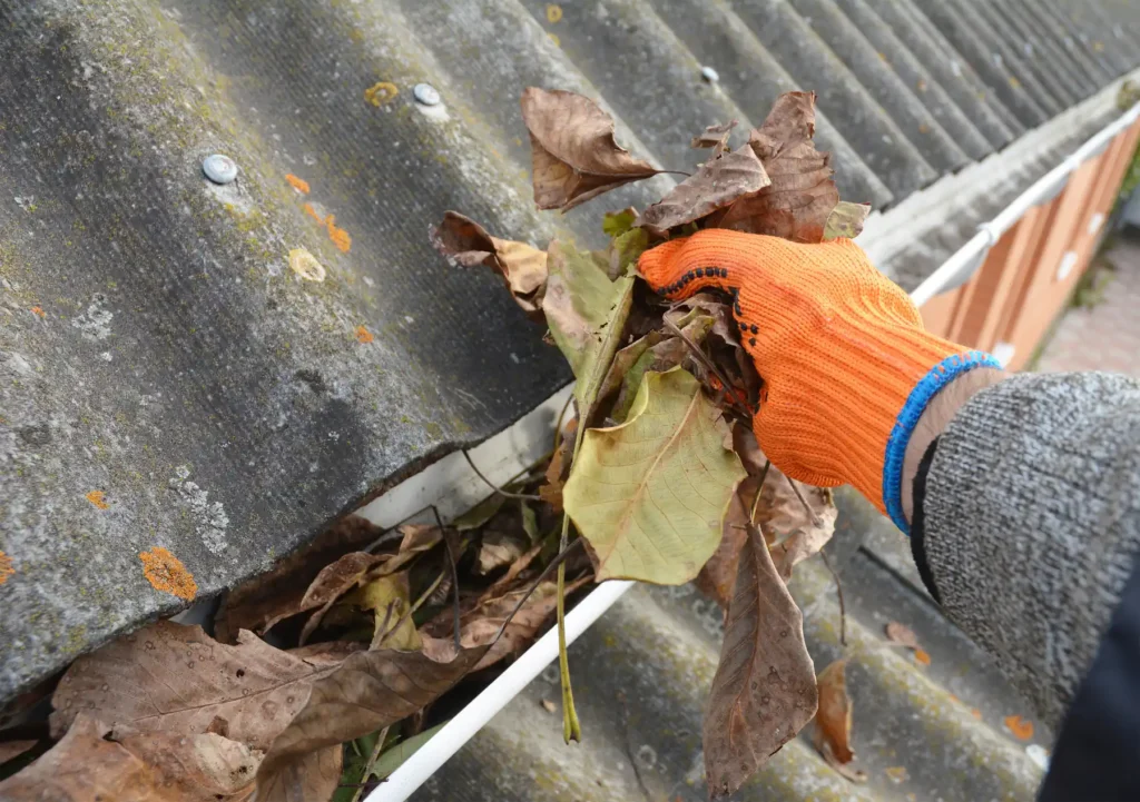 Roof Cleaning